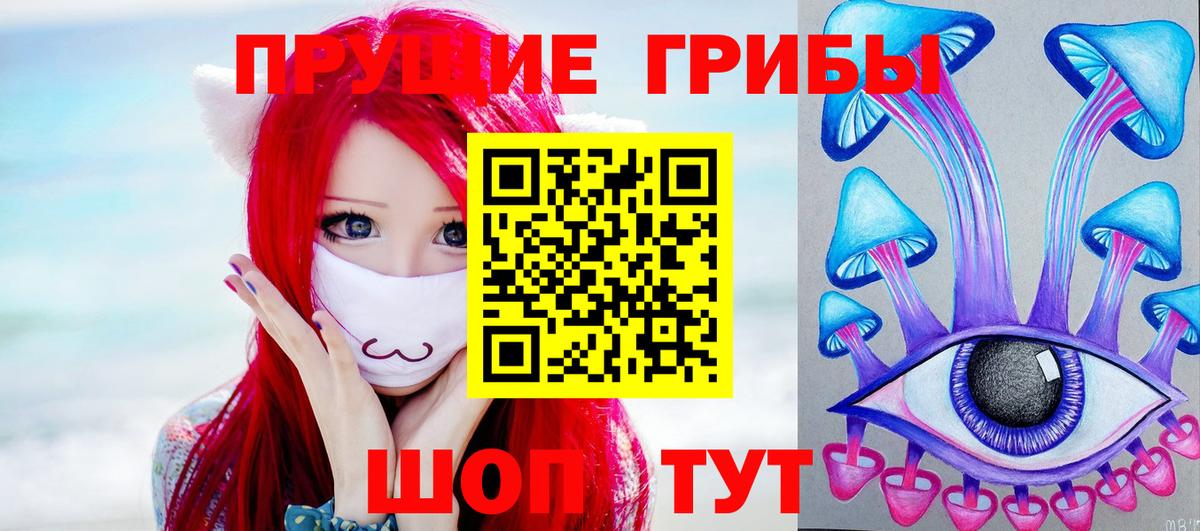 Псилоцибиновые грибы GOLDEN TEACHER  Вход с VPN  закладка  Хабаровск 