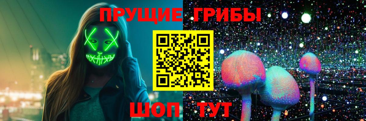 Псилоцибиновые грибы GOLDEN TEACHER Хабаровск